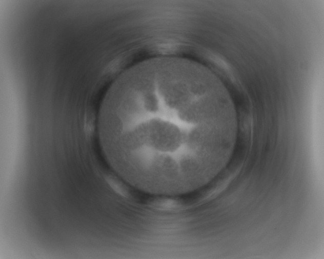 X0000113860507200909241310