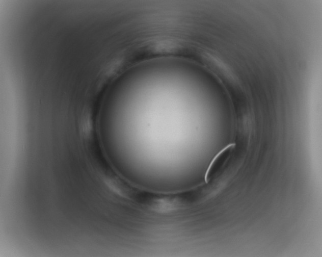 X0000113860508200909241310