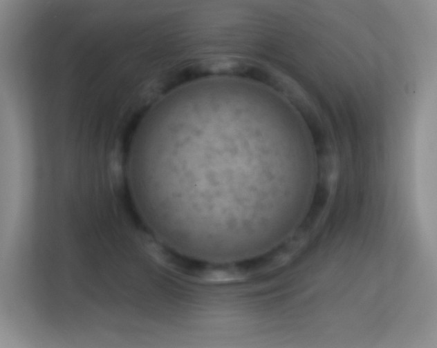 X0000113860510200909241310