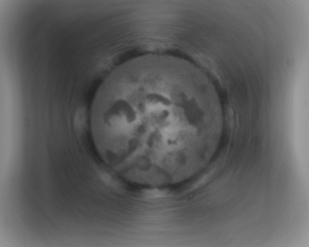 X0000113860511200909241310