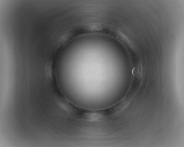 X0000113860512200909241310