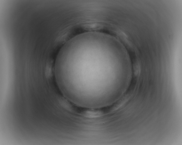 X0000113860515200909241310