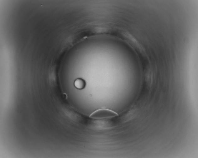 X0000113860516200909241310