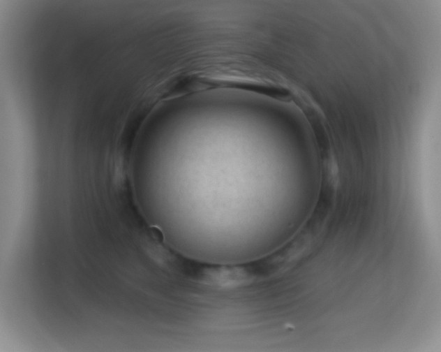 X0000113860517200909241310