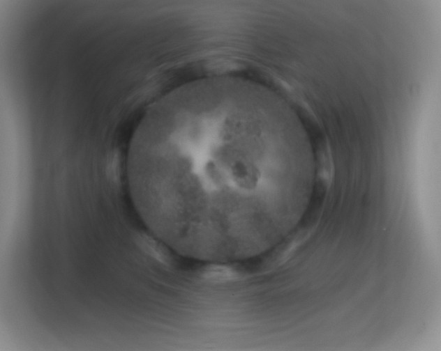 X0000113860519200909241310