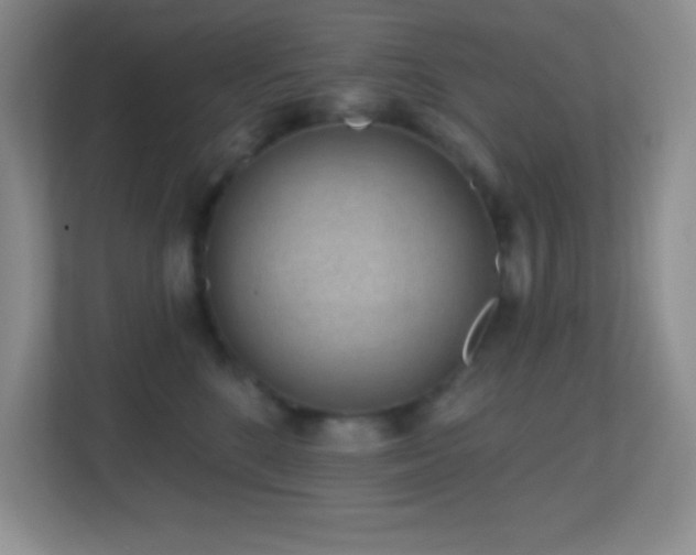 X0000113860520200909241310