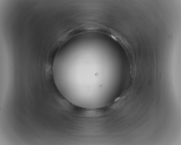 X0000113860521200909241310