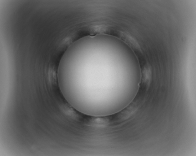 X0000113860522200909241310