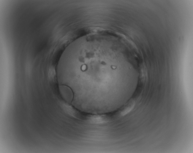X0000113860523200909241310