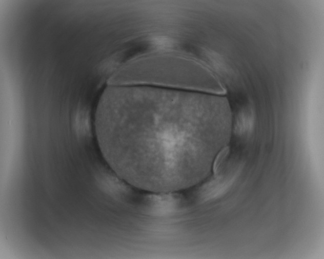 X0000113860524200909241310