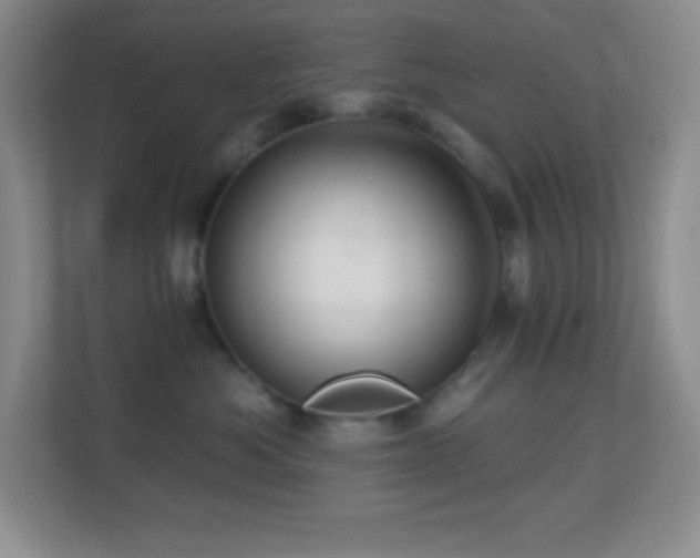 X0000113860525200909241310