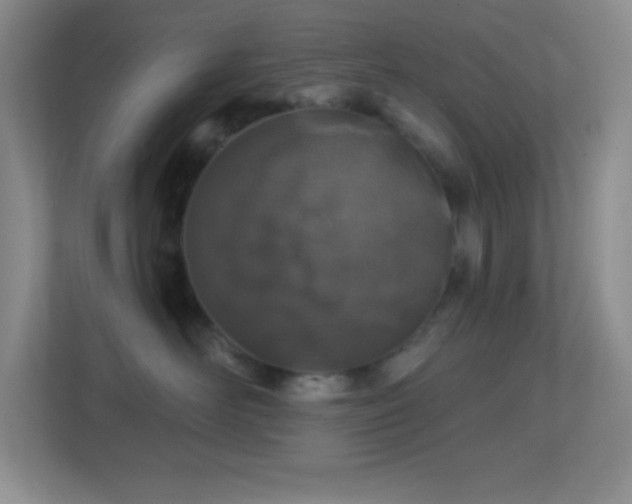 X0000113860526200909241310