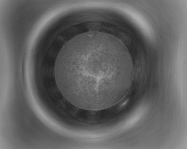 X0000113860527200909241310