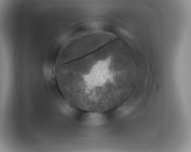 X0000113860528200909241310