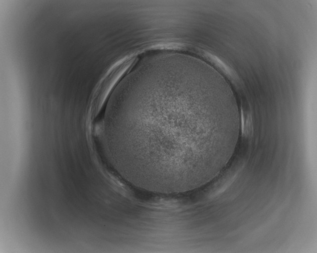 X0000113860531200909241310