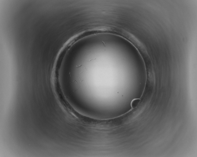 X0000113860532200909241310