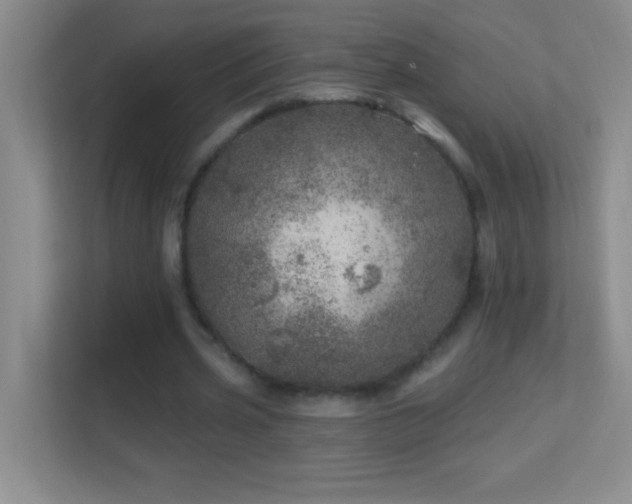 X0000113860533200909241310
