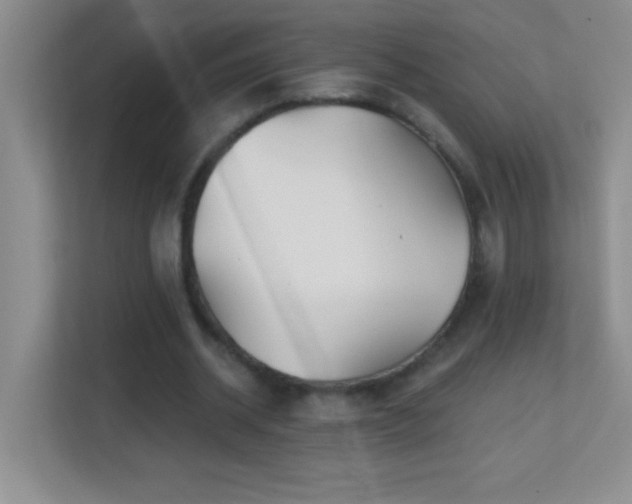 X0000113860534200909241310