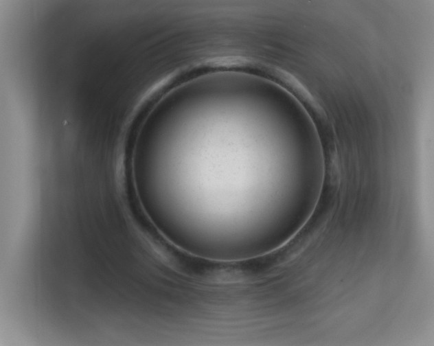 X0000113860535200909241310