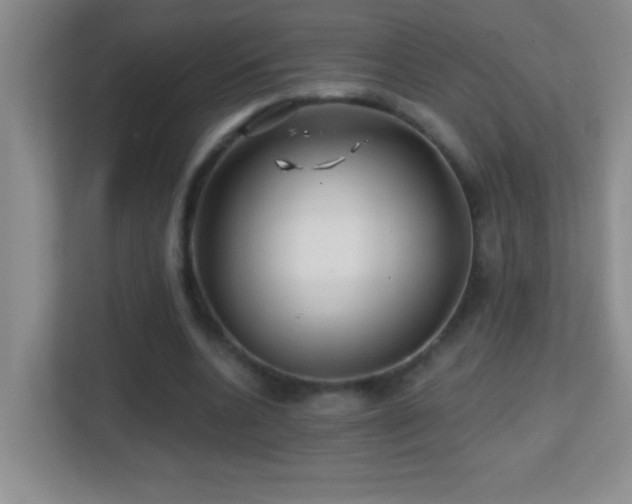 X0000113860536200909241310
