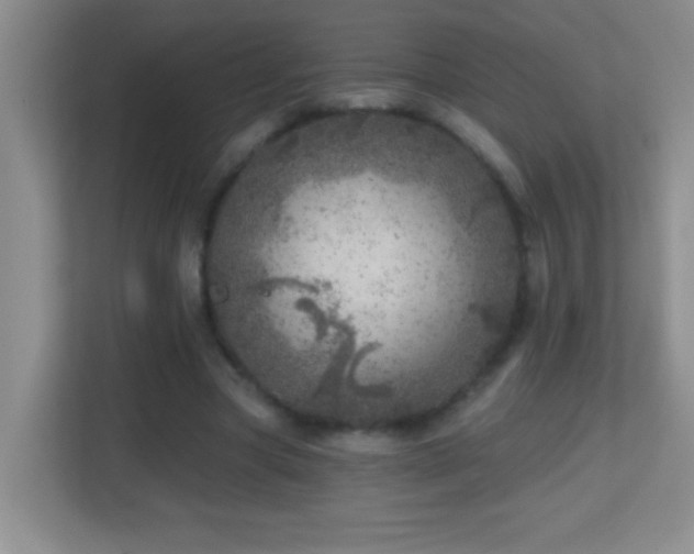 X0000113860537200909241310