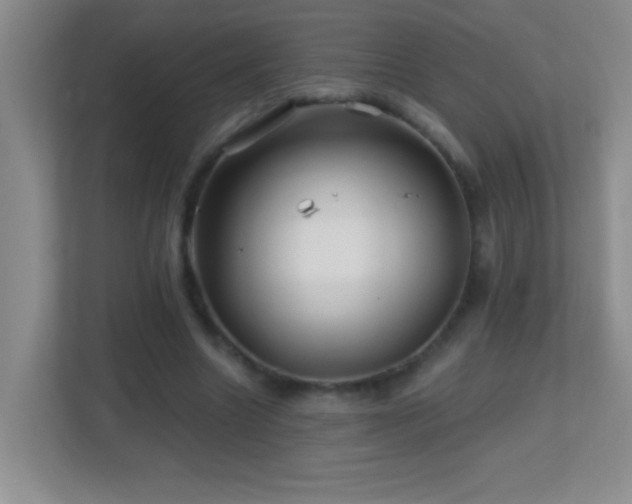 X0000113860538200909241310