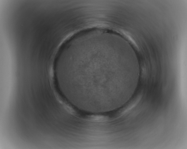 X0000113860539200909241310