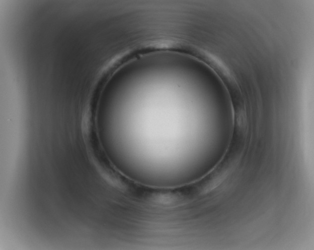 X0000113860540200909241310