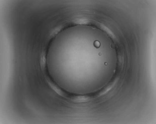 X0000113860541200909241310