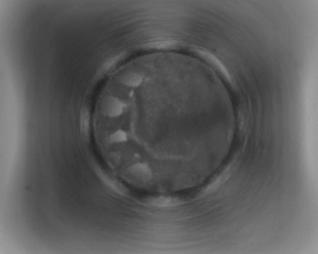 X0000113860542200909241310