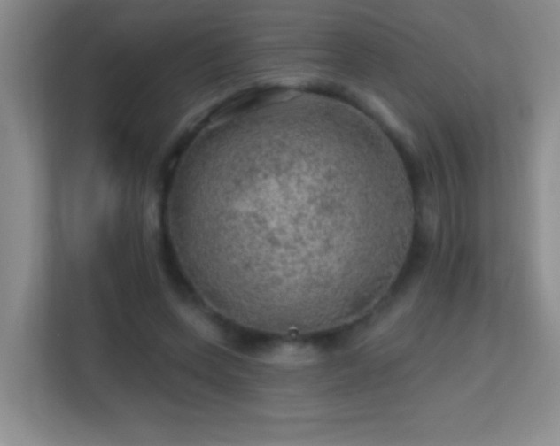 X0000113860543200909241310