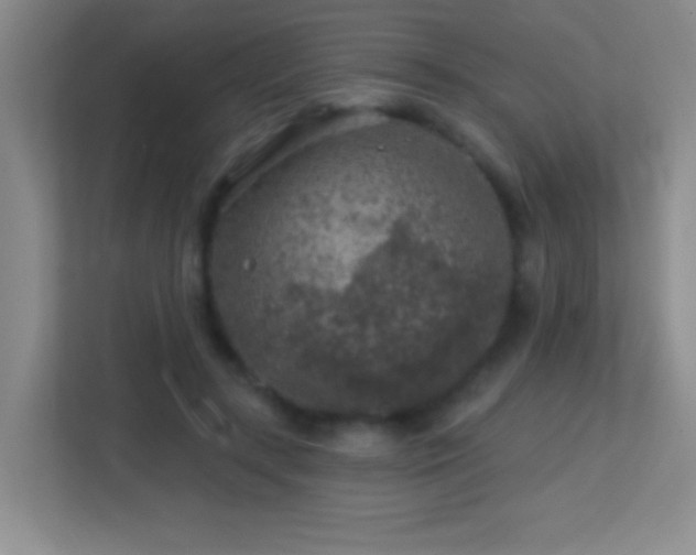 X0000113860547200909241310