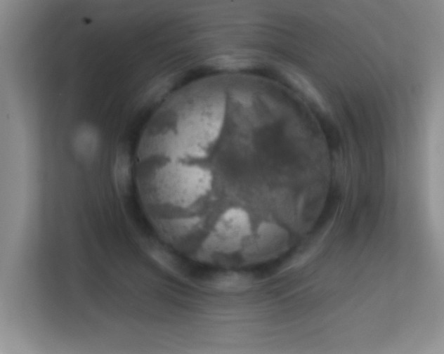 X0000113860549200909241310