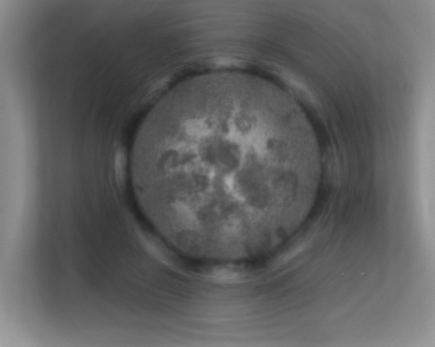 X0000113860550200909241310