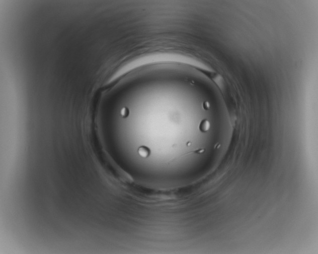 X0000113860552200909241310