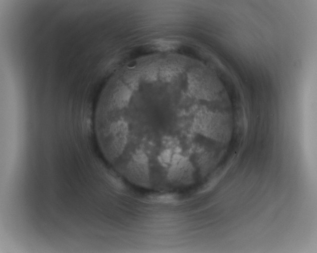 X0000113860553200909241310