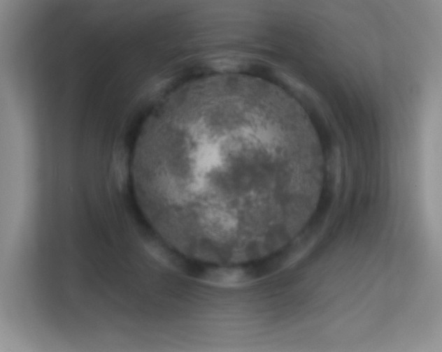 X0000113860554200909241310