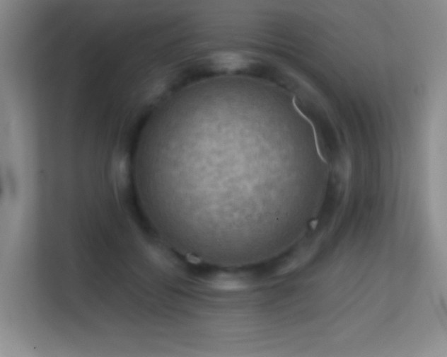X0000113860556200909241310