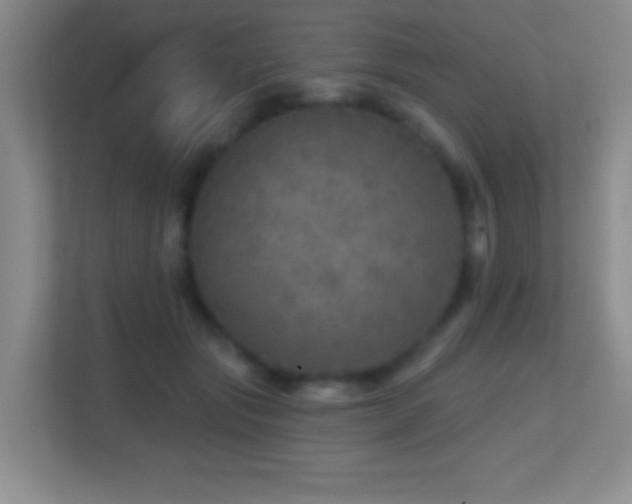 X0000113860557200909241310