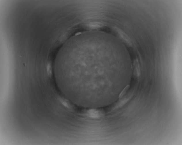 X0000113860562200909241310