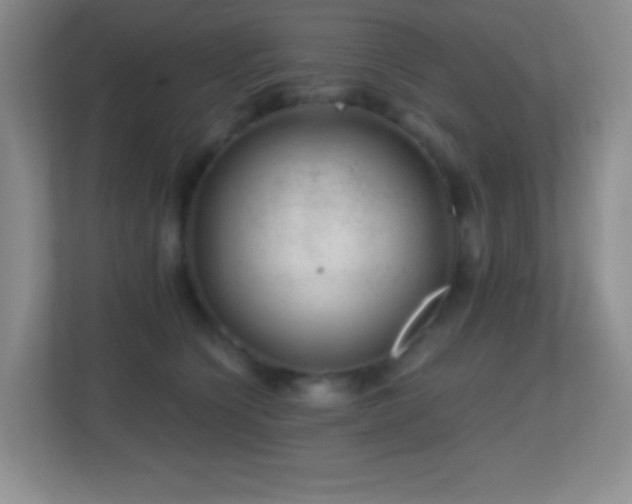 X0000113860564200909241310