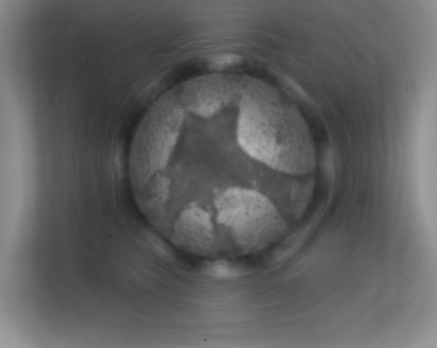 X0000113860565200909241310