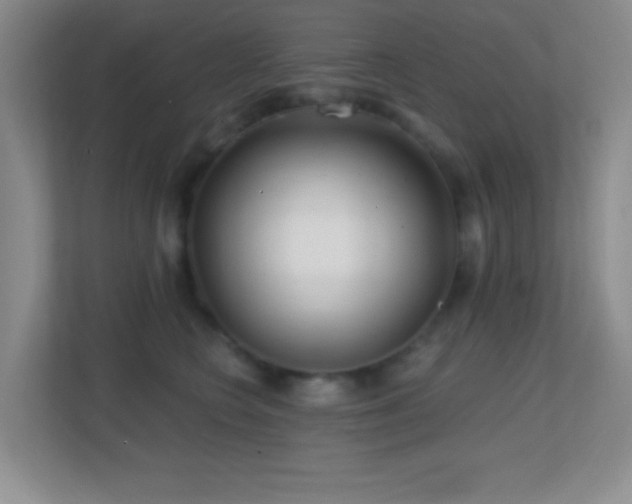 X0000113860566200909241310