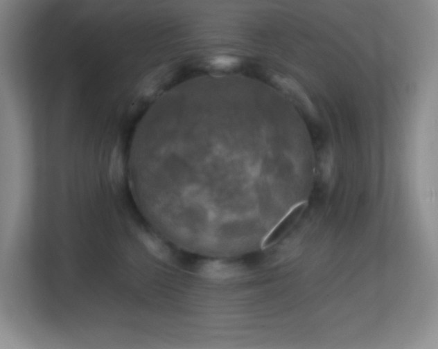 X0000113860568200909241310