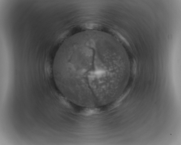 X0000113860569200909241310