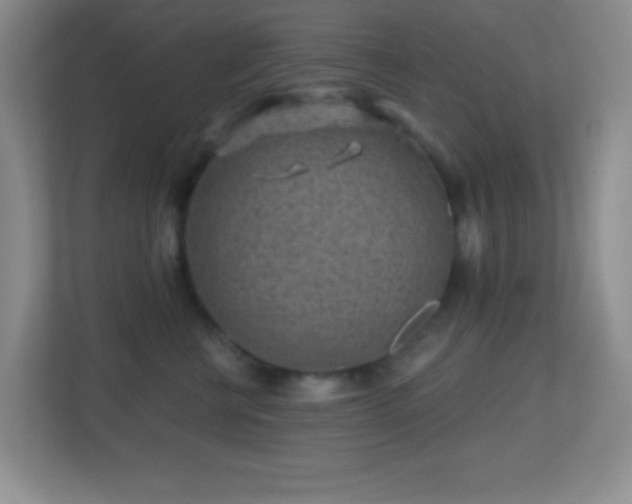 X0000113860570200909241310