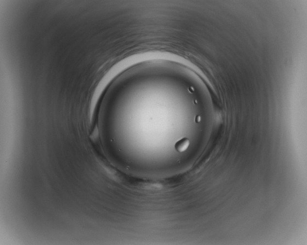 X0000113860572200909241310