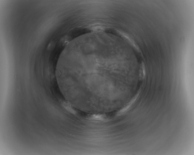 X0000113860573200909241310