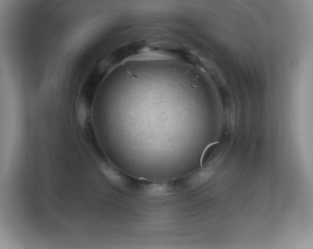 X0000113860574200909241310