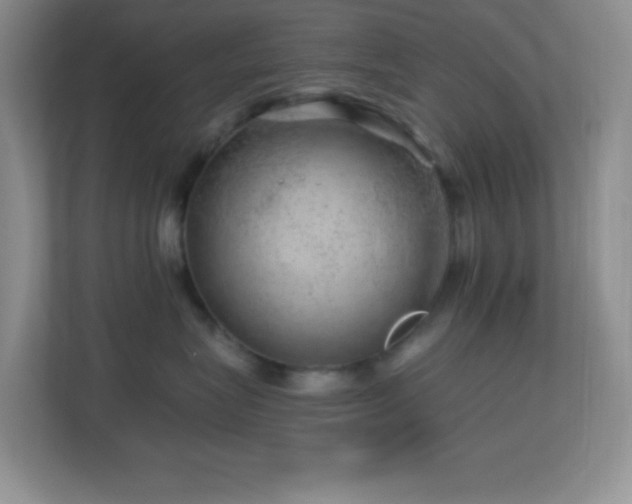 X0000113860575200909241310